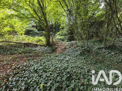 /international/fr/saint-antoine-du-rocher-centre-val-de-loire-310108597295/