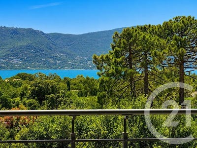 /international/fr/porto-vecchio-corsica-310109934980/
