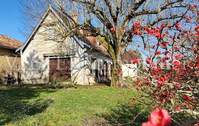 /international/fr/neuvic-aquitaine-310106082229/