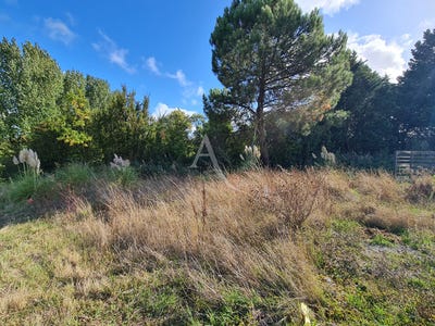 /international/fr/chatelaillon-plage-charente-310104462894/