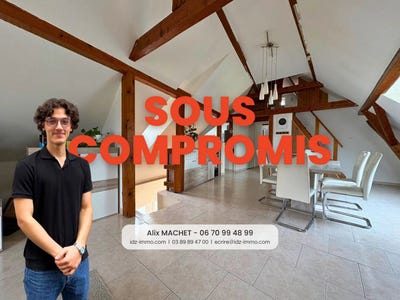 /international/fr/buschwiller-alsace-310099847563/