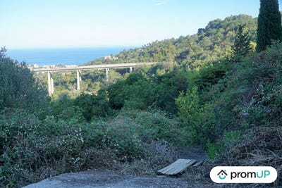 /international/fr/sainte-agnes-provence-alpes-cote-d-azur-310103175836/