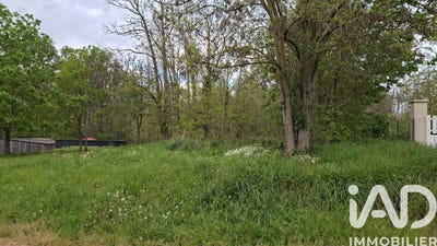 /international/fr/brains-sur-gee-pays-de-la-loire-310106064322/