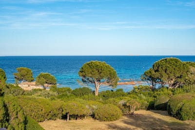 /international/fr/porto-vecchio-corsica-310094694438/