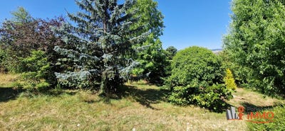 /international/fr/chateauneuf-pays-de-la-loire-310100960284/