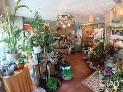 /international/fr/lorient-brittany-310107469304/