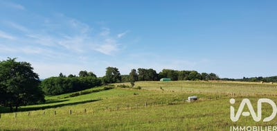 /international/fr/palazinges-limousin-310107736596/
