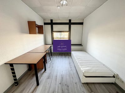 /international/fr/tours-centre-val-de-loire-310101208988/