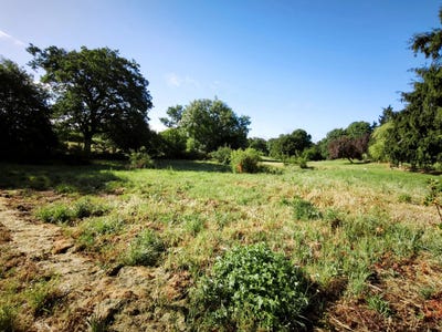 /international/fr/la-chapelle-bertrand-charente-310108619950/