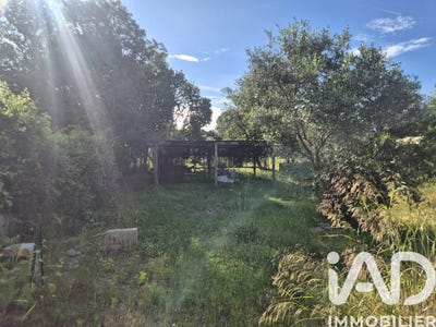 /international/fr/le-soler-languedoc-roussillon-310108418418/