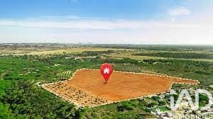 /international/fr/merignac-charente-310108862465/