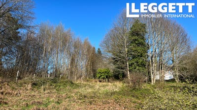 /international/fr/la-coquille-aquitaine-310100645093/