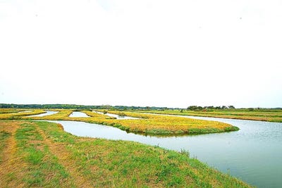 /international/fr/l-ile-d-olonne-pays-de-la-loire-310100933851/