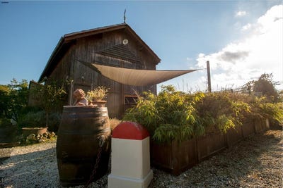/international/fr/jaure-aquitaine-310100114466/?lang=zh-cn