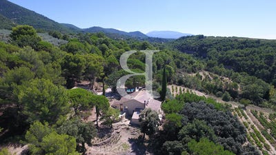/international/fr/nyons-rhone-310108676668/