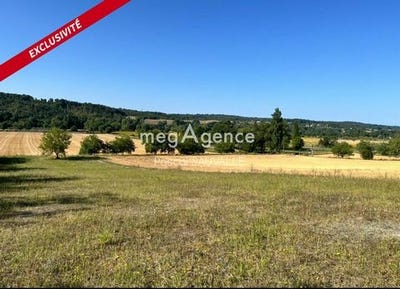 /international/fr/grignols-aquitaine-120097793906/