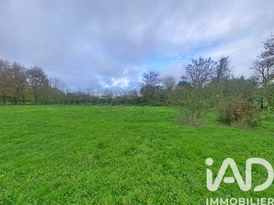/international/fr/albias-midi-pyrenees-310108002223/