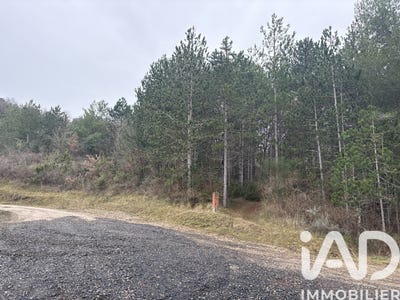 /international/fr/roquetaillade-midi-pyrenees-310106415189/