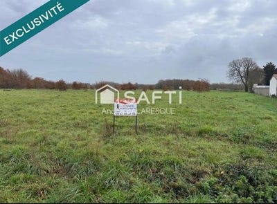 /international/fr/chateau-d-olonne-pays-de-la-loire-310108995097/