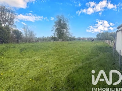/international/fr/faumont-calais-310106415800/