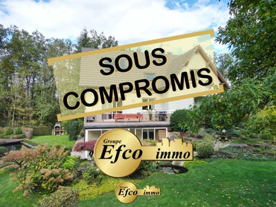 /international/fr/wittelsheim-alsace-310096843632/