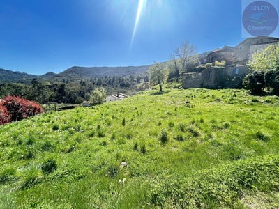 /international/fr/saint-paul-la-coste-languedoc-roussillon-310108314786/
