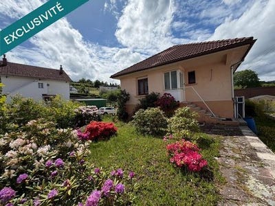 /international/fr/le-thillot-lorraine-310108114576/
