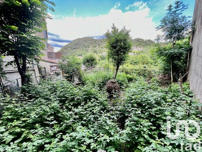 /international/fr/riols-languedoc-roussillon-310101078128/?lang=zh-cn