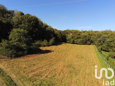 /international/fr/neuville-sur-ain-rhone-310107577727/