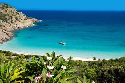 /international/fr/saint-barthelemy-brittany-310095226791/