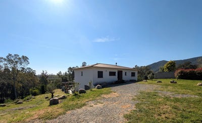 /international/fr/prunelli-di-fiumorbo-corsica-310106999519/