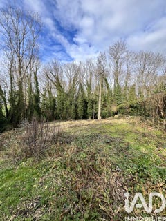 /international/fr/villemareuil-ile-de-france-310105536247/