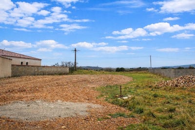 /international/fr/trausse-languedoc-roussillon-310105233300/