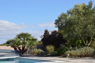 /international/fr/aytre-charente-120087181830/