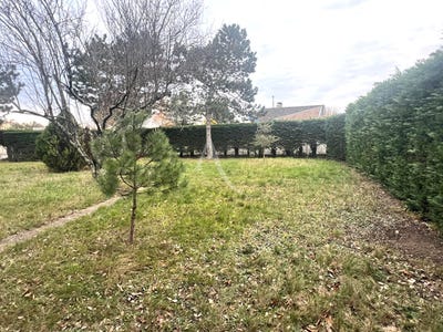 /international/fr/saint-loup-cammas-midi-pyrenees-310104464973/
