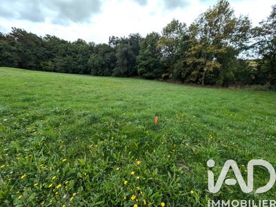 /international/fr/ecoyeux-charente-310105070265/