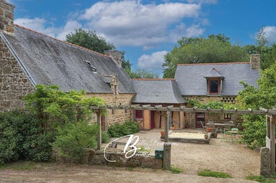 /international/fr/cavan-brittany-310105793869/