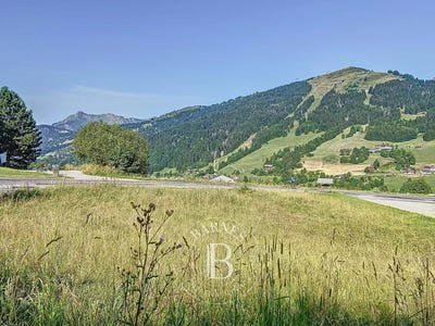 /international/fr/les-gets-rhone-310100610276/
