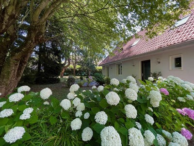 /international/fr/divonne-les-bains-rhone-310100737631/?lang=zh-cn