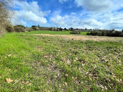 /international/fr/quint-fonsegrives-midi-pyrenees-310105820956/