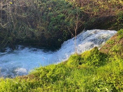/international/fr/larroque-toirac-midi-pyrenees-310104805137/