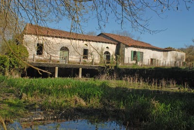/international/fr/courlac-charente-310108105029/