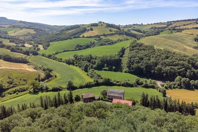 /international/fr/le-truel-languedoc-roussillon-310107903823/