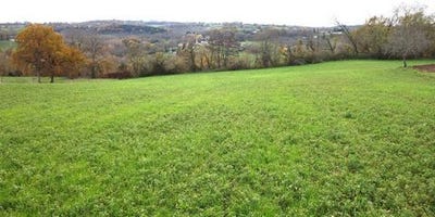 /international/fr/nailhac-aquitaine-310106191884/
