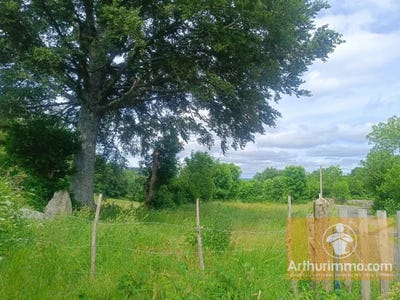 /international/fr/saint-laurent-de-muret-languedoc-roussillon-310109019532/