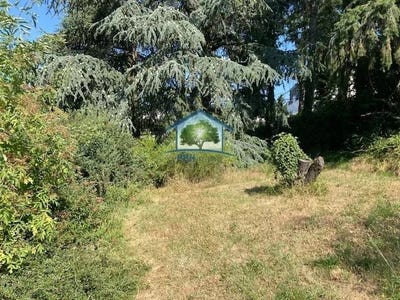 /international/fr/saint-chamond-centre-val-de-loire-310100603217/