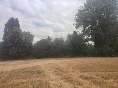 /international/fr/seraincourt-ile-de-france-310104468938/