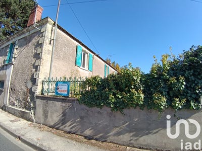 /international/fr/brion-pres-thouet-charente-310103024699/