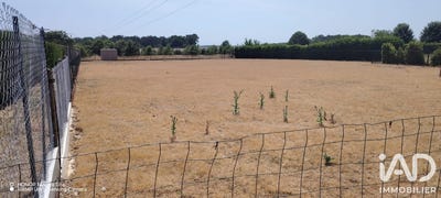 /international/fr/champigny-sur-veude-centre-val-de-loire-310109147207/