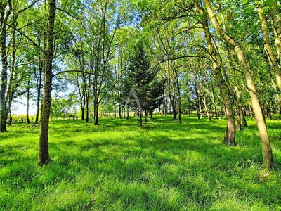 /international/fr/terranjou-pays-de-la-loire-310108261167/